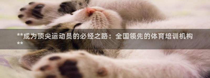 欧陆娱乐平台登录：**成为顶尖运动员的必经之路：全国