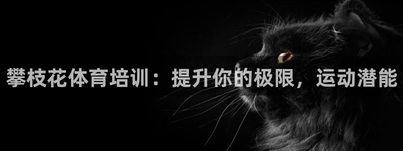 欧陆娱乐里面怎么看打排五：攀枝花体育培训：提升你的极