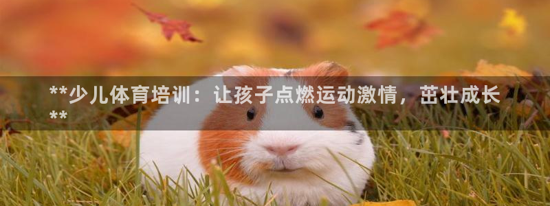 欧陆娱乐微信众：**少儿体育培训：让孩子点燃运动激情