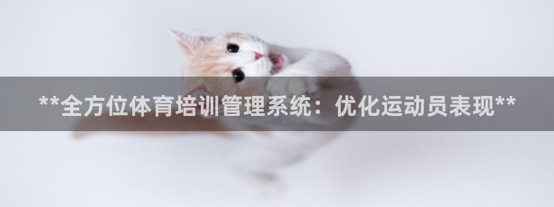 欧陆娱乐里面怎么看打排五