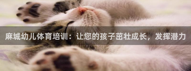 欧陆娱乐公司产品介绍：麻城幼儿体育培训：让您的孩子茁壮成长，