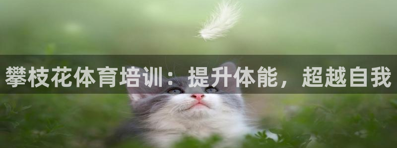 欧陆娱乐信誉吗：攀枝花体育培训：提升体能，超越自我