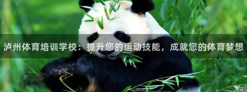 欧陆娱乐怎么注册帐号：泸州体育培训学校：提升您的运动