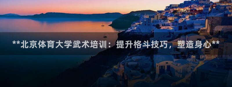 欧陆娱乐公司产品介绍图片：**北京体育大学武术培训：提升格斗