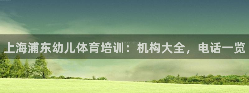 欧陆娱乐能提现嘛安全吗：上海浦东幼儿体育培训：机构大