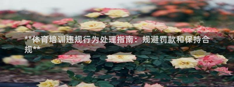 欧陆娱乐是正规平台吗安全吗：**体育培训违规行为处理指南：规