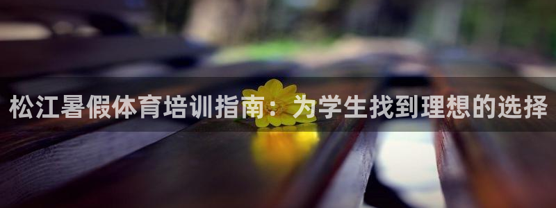 欧陆娱乐官网入口网址：松江暑假体育培训指南：为学生找到理想的