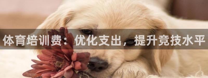 欧陆娱乐app攻略：体育培训费：优化支出，提升竞技水