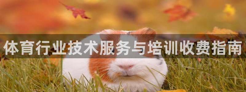 欧陆娱乐累计盈利多少就会被劝退呢：体育行业技术服务与培训收费