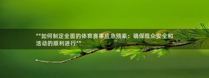 欧陆娱乐登陆平台官网：**如何制定全面的体育赛事应急