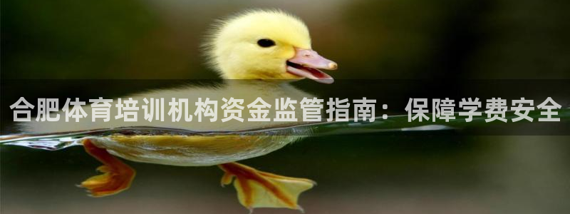欧陆娱乐登录注册平台有哪些：合肥体育培训机构资金监管指南：保